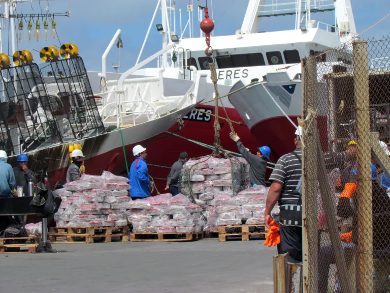 En 8 meses los puertos argentinos recibieron más de 500 000 toneladas