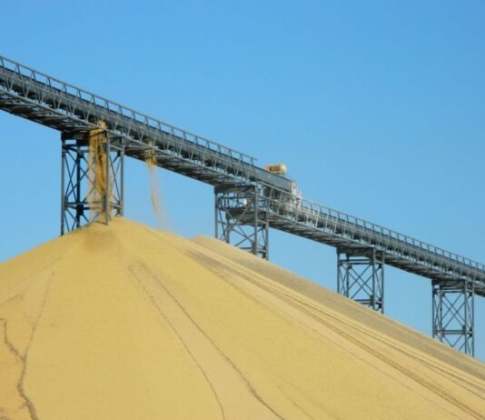 Argentina industrializa mas del 80% de su producción sojera