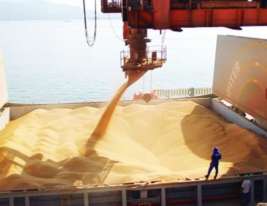 Proyectan record de stocks globales de soja para 2019/2020
