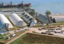 Corporación Navios, uno de los principales operadores logísticos regionales registra record de operación en Nueva Palmira