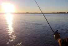 Argentina aplicará veda pesquera en aguas compartidas con Paraguay