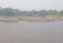 Miembros del CAFyM se reunieron con el presidente de la republica para solicitar mayor atención a la navegabilidad de los ríos.