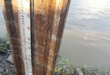 Se frena descenso de los ríos Paraguay y Paraná aunque el pantanal sigue bajando