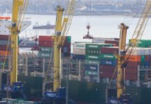 Incautaron otro contenedor con cocaína en el Puerto de Montevideo