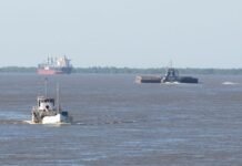 Jorge Metz sobre el Decreto 340/2025: «El cabotaje argentino está muerto por culpa del modelo sindical»