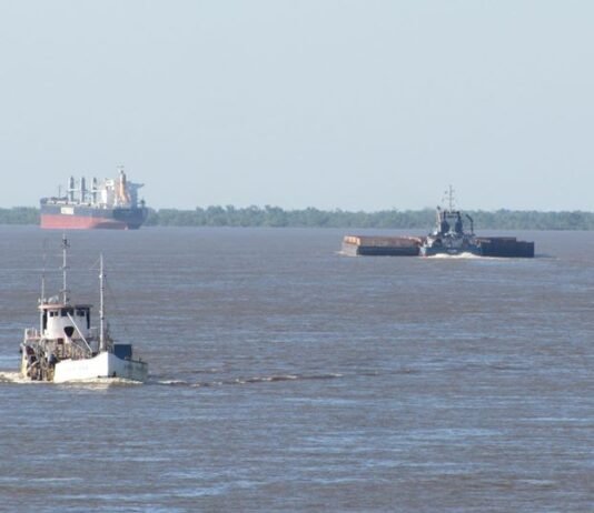 Jorge Metz sobre el Decreto 340/2025: «El cabotaje argentino está muerto por culpa del modelo sindical»