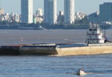 Argentina aprobó decreto con el cual actualiza el regimen de la navegación marítima, fluvial y lacustre (REGINAVE)
