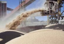 Vicentín en crisis por una deuda de USD 300 millones