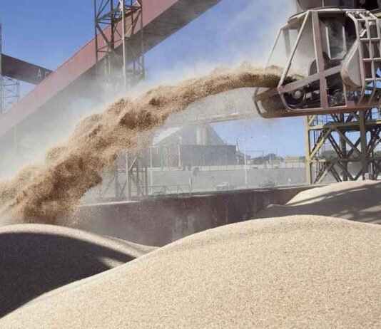 Vicentín en crisis por una deuda de USD 300 millones