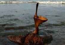 Los 10 mayores derrames de petróleo de la historia