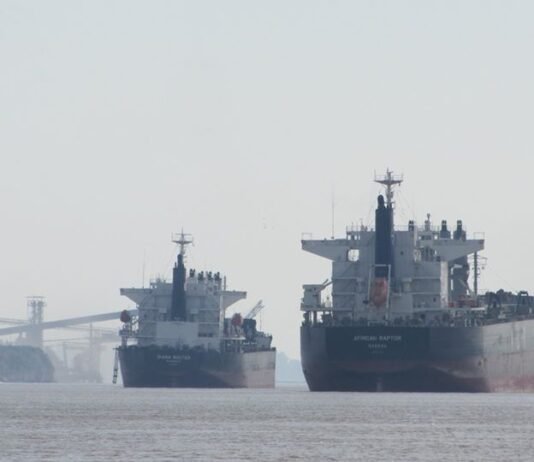 En el 2019 ingresaron más buques oceánicos que en los ultimos 20 años al gran Rosario