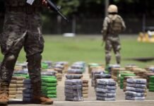 El narcotráfico y la seguridad