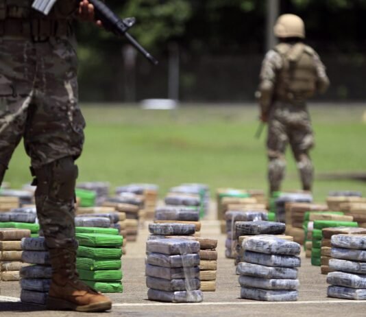 El narcotráfico y la seguridad