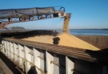 Desde la UGP esperan un año de buena cosecha de soja