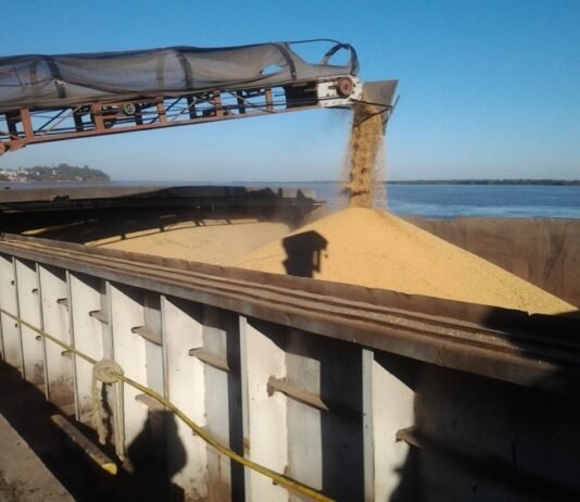 Cosecha, exportación y logística: la soja paraguaya navega un 2025 desafiante pero prometedor