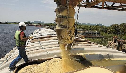 Caída del 15 % en la cosecha de soja: Paraguay pierde USD 600–700 millones