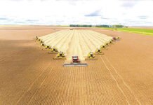 Matto Grosso do Sul pronostica la mayor zafra de soja de la historia, 9.9millones de toneladas