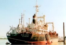 Paraguay podria volver a contar con buques ultramares con bandera Guaraní