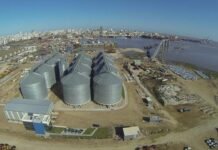Terminal de Graneles Montevideo logra cifra récord de embarques en 2019