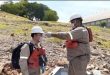 Covid-19: Navieras deben extremar recursos y aplicar rigurosos procedimientos