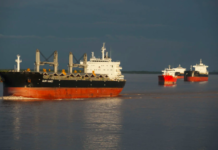 Timbúes evalúa clausurar todos los puertos instalados en su jurisdicción