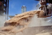 Recibidores de granos piden suspender la actividad en puertos y acopios por falta de medidas de seguridad ante el coronavirus