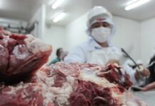 Caída de exportación de carne vacuna afecta a frigoríficos locales
