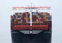 Transporte marítimo de contenedores: Posibles escenarios futuros a raíz de la crisis del coronavirus