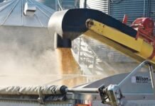 Los 8 gráficos que explican la actual oferta y demanda mundial de granos