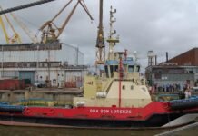 Preocupación en el Puerto de Buenos Aires por caso de COVID-19 podría aumentar rigor de controles