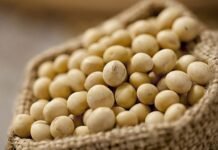 Exportadores de soja exigen entablar comercio con China Continental