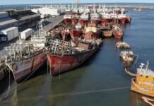 Mar del Plata plantea hundir barcos amarrados para ganar espacio en los muelles