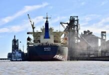 Récord histórico en el Puerto de Bahía Blanca