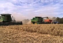 Bolivia prevé carencia y reducción de exportaciones