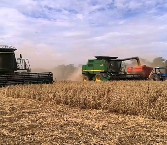 Bolivia prevé carencia y reducción de exportaciones