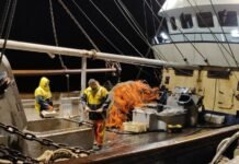 La OIT cifra en casi 200 000 los marinos atrapados a bordo de los barcos por las medidas COVID-19