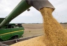 Expropiación de aceitera Vicentín afectaría a volúmenes de exportación de Paraguay