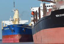 Pobladores de San Lorenzo en Argentina, se quejan por el sonido de las bocinas de los buques