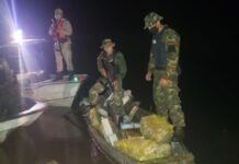 Frenaron la entrada de media tonelada de marihuana