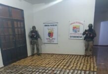 Incautan cerca de 350 kilos de marihuana en zona de Acaray
