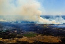 Brasil. El Pantanal, el mayor humedal del mundo, se quema en Sudamérica