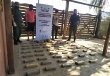 Descartan 33 kilos de marihuana en el límite fronterizo con Paraguay