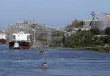 Ranking de exportación de empresas agroindustriales según ventas en la campaña 2018/19