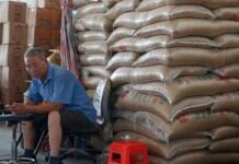 China afrontará problemas de suministro de cereales en el 2025, según estudio