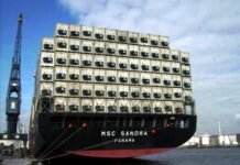 Crecimiento de transporte marítimo en contenedores reefer supera al de contenedores dry, pese a escasez de equipos