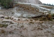 Pronostican lluvias generales para las zonas núcleo agrícolas