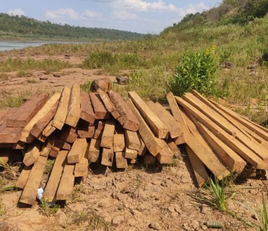 Marinos de Puerto Irala incautan maderas nativas a orillas del río Paraná