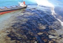 Expertos japoneses evaluan daños en Islas Mauricio por derrame de petróleo