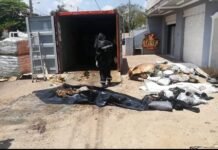 Hallan 7 cadáveres dentro de un contenedor cargado con fertilizantes en Asunción