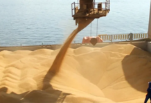 Complejo soja bate nuevo récord de precios en Chicago